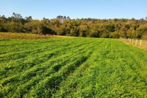 Consultoria Ambiental e Suporte Técnico